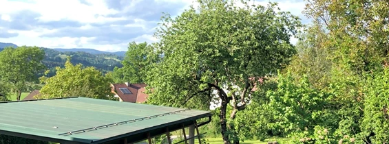 MonteurZimmer: Ferienwohnung Strassonig