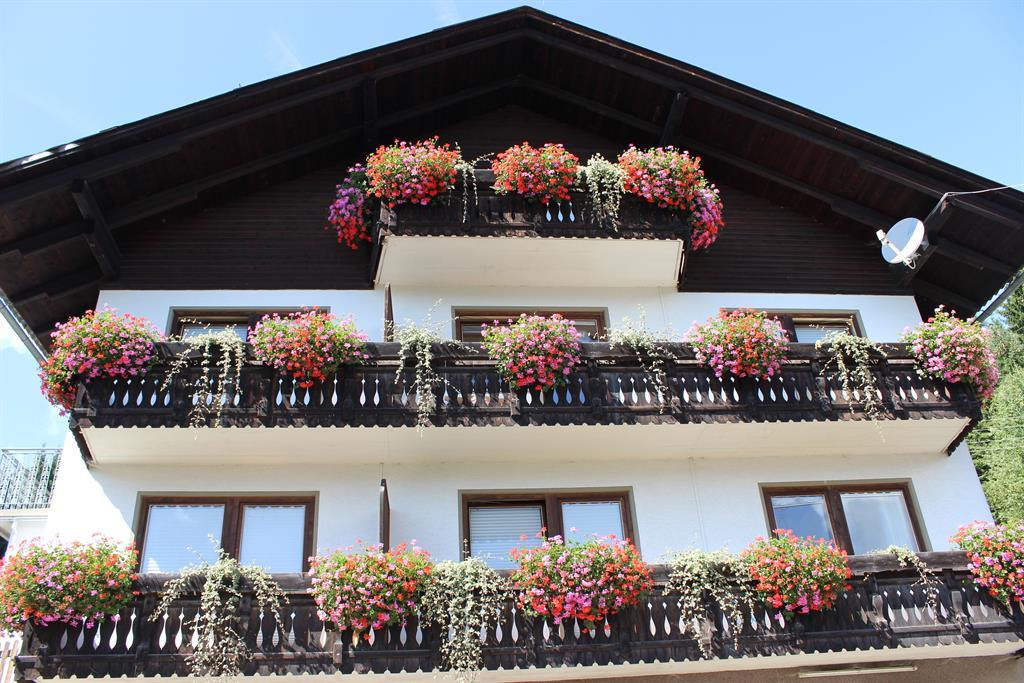 Monteur-Zimmer - Eisentratten - Pension Reiner