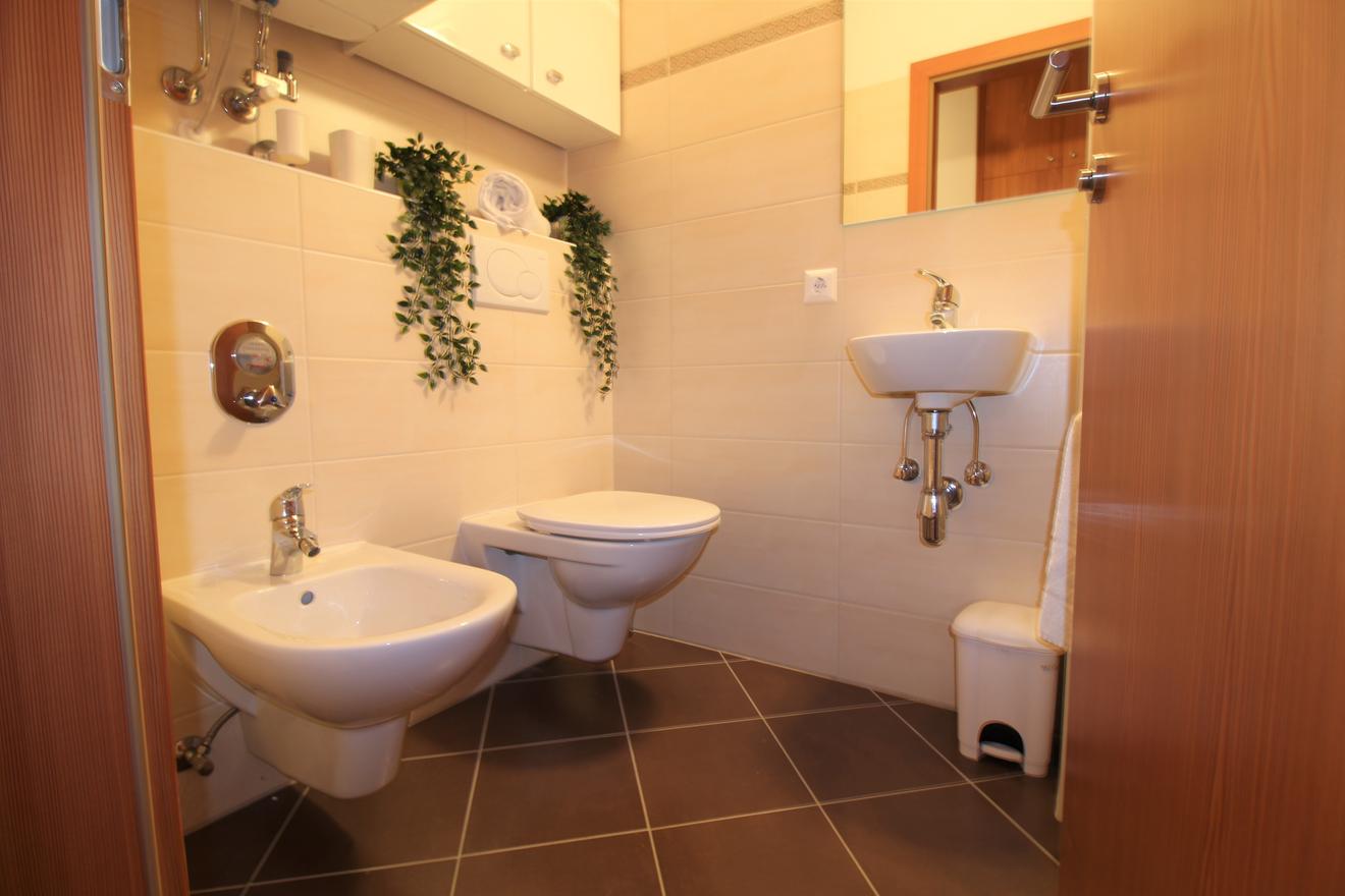 Monteur-Zimmer - Eisentratten - Appartement Sonnwiese