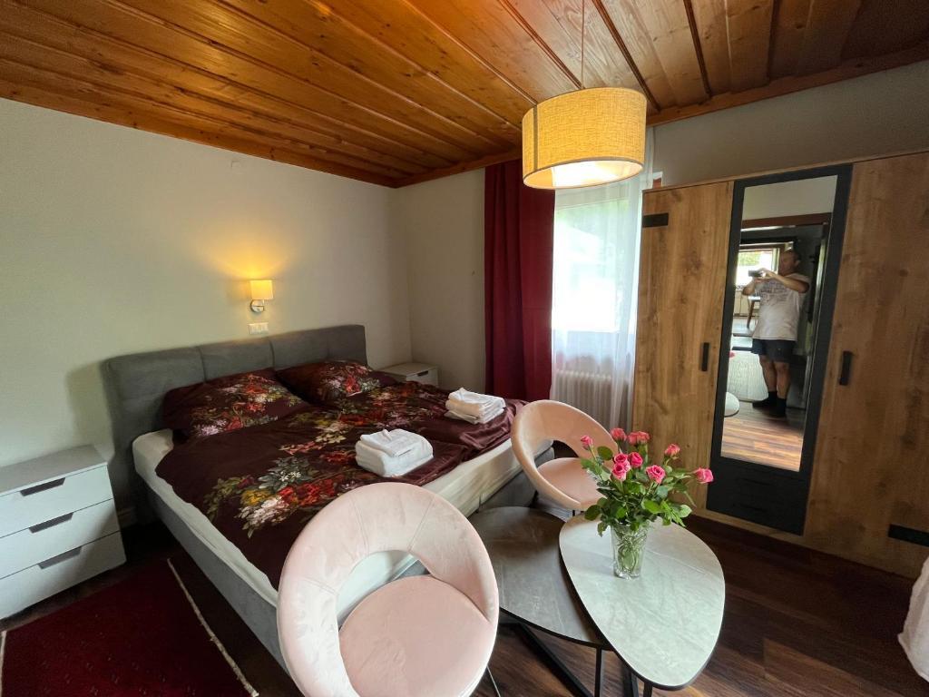 Monteur-Zimmer - Zwischenreinigung - Kärnten - Landhaus Steinwender