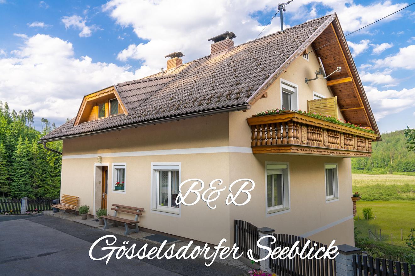 Monteur-Zimmer - Preis pro Nacht - Österreich - B&B Gösselsdorfer Seeblick