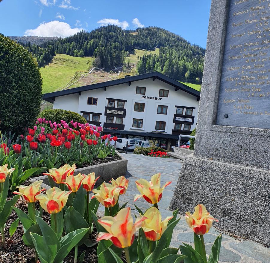 Monteur-Zimmer - Egg am Faaker See - Appartements "Maglov"