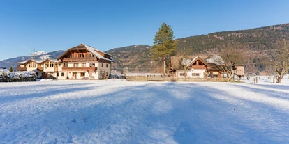 Monteur-Zimmer - Parkplatz: eigener Parkplatz für PKW vorhanden - Naturarena - Appartement Ferienwohnung Pernull
