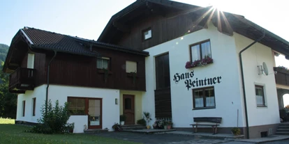 Monteur-Zimmer - Unterhaus (Seeboden am Millstätter See, Baldramsdorf) - Haus Peintner