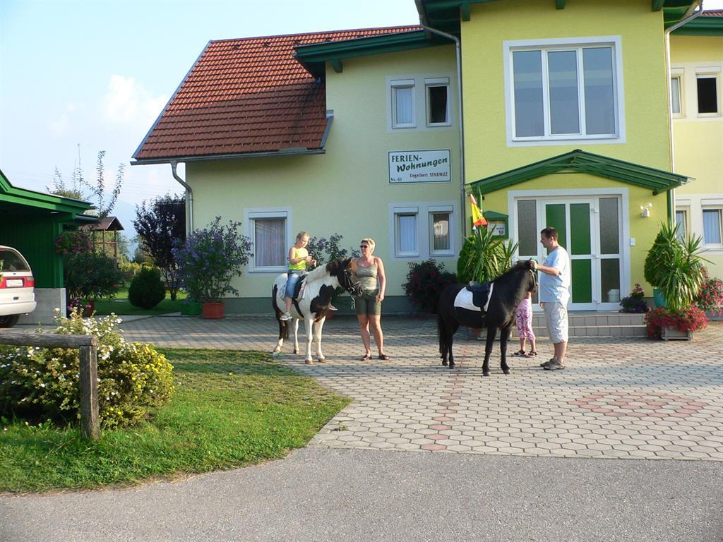 Monteur-Zimmer - Preis pro Nacht - Hollersberg - Ferienwohnungen Starmuz