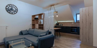 Monteur-Zimmer - Stockenboi - Ferienwohnung Springer