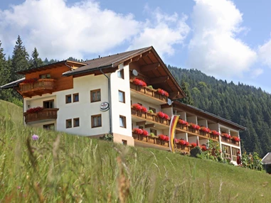 MonteurZimmer: Alpenhof Strenge