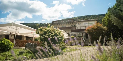Monteur-Zimmer - Stockenboi - Haus Lavendel