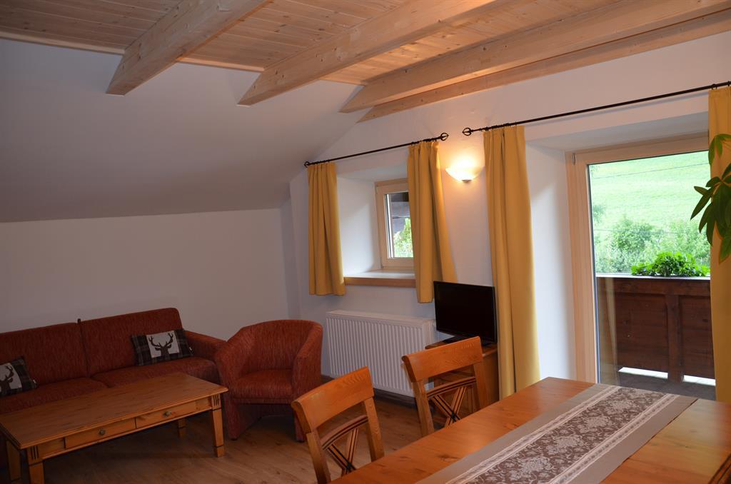 Monteur-Zimmer - Steinfeld (Steinfeld) - Appartements Moserhof