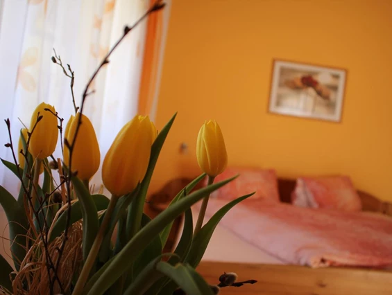 MonteurZimmer: Haus Rupitsch