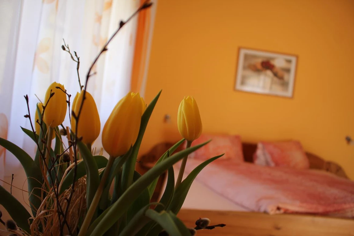MonteurZimmer: Haus Rupitsch