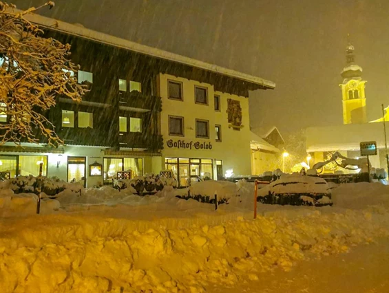 MonteurZimmer: Gasthof-Pension Golob