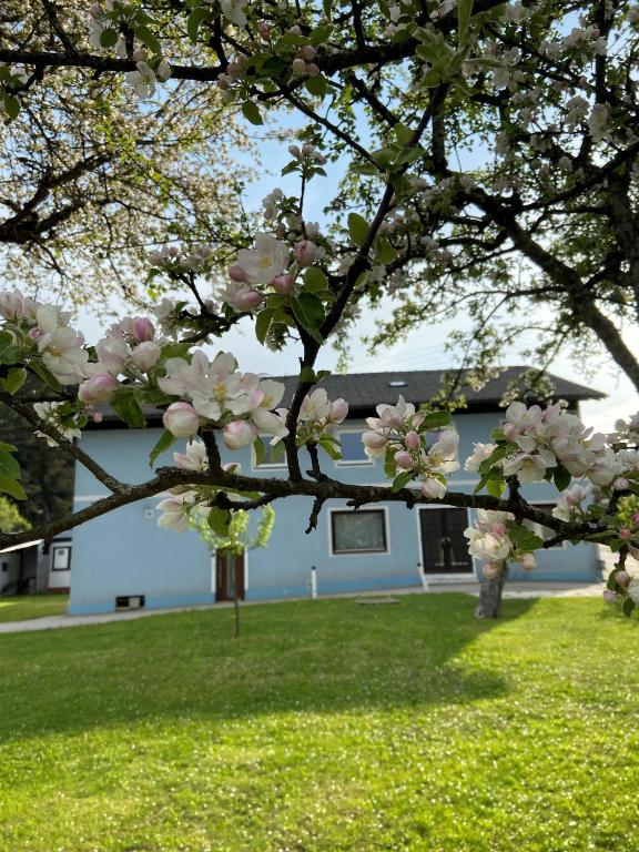 Monteur-Zimmer - Preis pro Nacht - Finkenstein - Nikolaierhaus