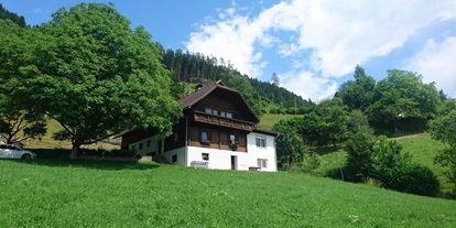 Monteur-Zimmer - Weißbriach - Wohnung im Grünen