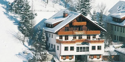 Monteur-Zimmer - Sattendorf - Appartements Diana in Bad Kleinkirchheim
