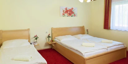 Monteur-Zimmer - Strau - Ferienhäuser Angela