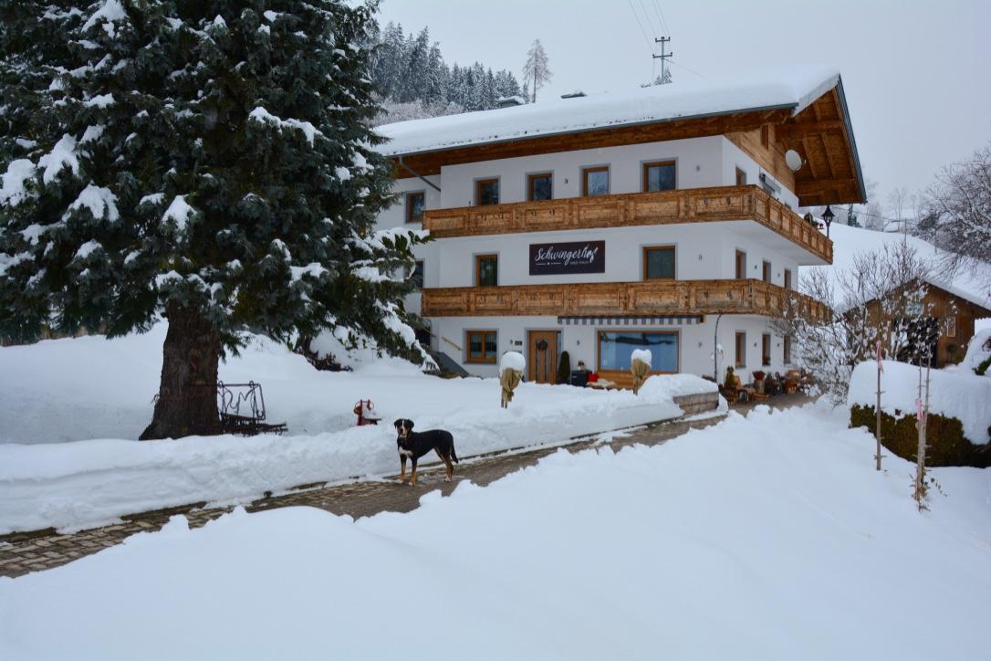 Monteur-Zimmer - Feld am See - Schwingerhof