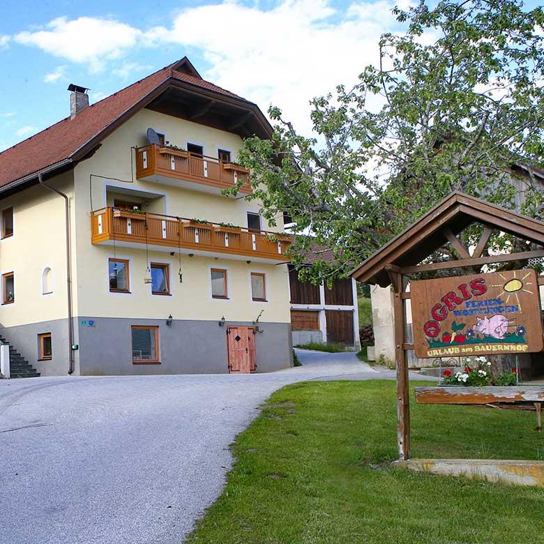 Monteur-Zimmer - St. Egyden - Ferienwohnung Ogrishöhe