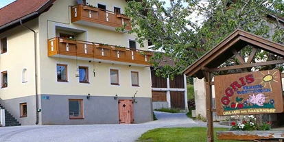 Monteur-Zimmer - Strau - Ferienwohnung Ogrishöhe