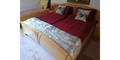 Monteur-Zimmer - Parkplatz: eigener Parkplatz für PKW vorhanden - Naturarena - Dreibettzimmer  - Ferienwohnung Dreiländereck