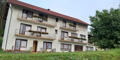 Monteur-Zimmer - Diex - Pension Hribernig