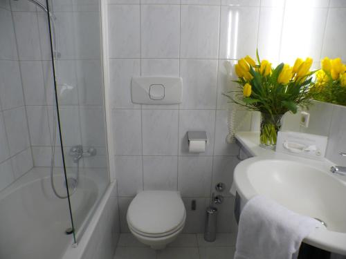 Monteur-Zimmer - Preis pro Nacht - Hall in Tirol - Hotel Alpinpark