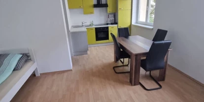 Monteur-Zimmer - Gallspach - Apartment ADSA Niedernharterstrasse Linz TOP 28