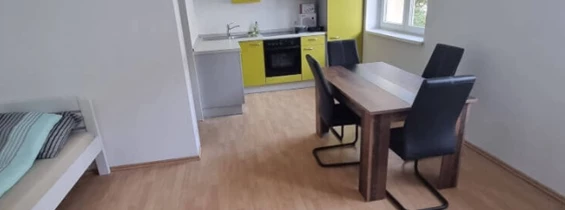 MonteurZimmer: Apartment ADSA Niedernharterstrasse Linz TOP 28