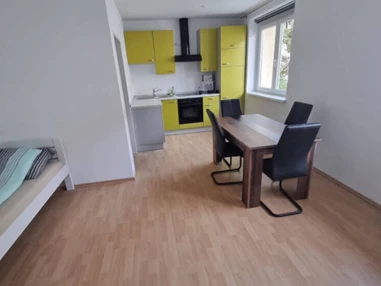 MonteurZimmer: Apartment ADSA Niedernharterstrasse Linz TOP 28