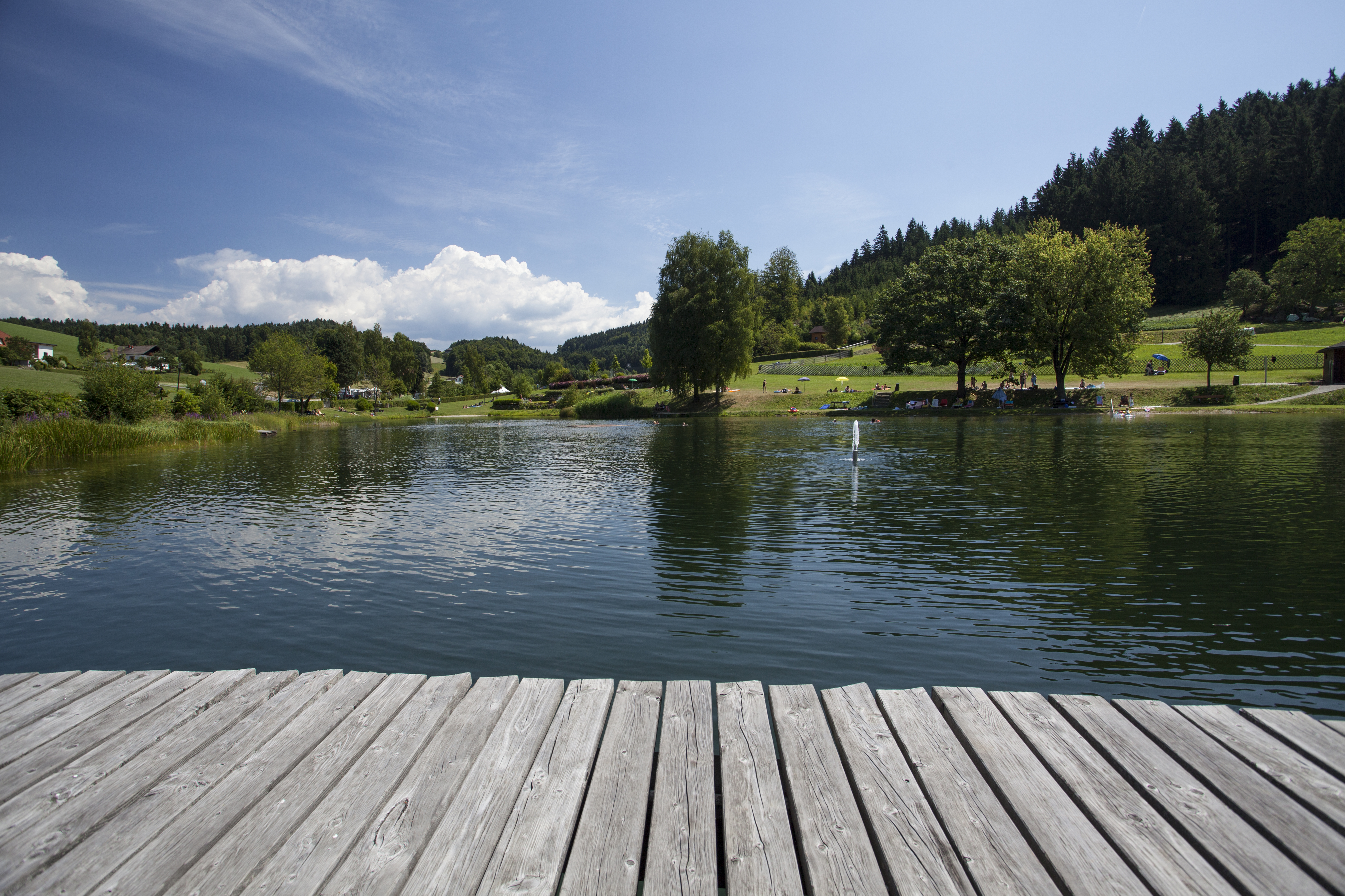 MonteurZimmer: Gasthof Der Dorfwirt