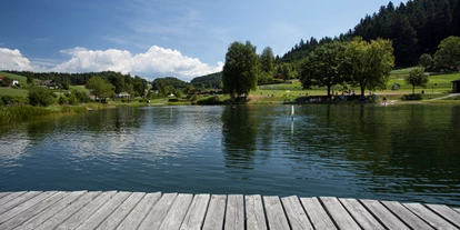 Monteur-Zimmer - Fernseher - Mühlviertel - Gasthof Der Dorfwirt