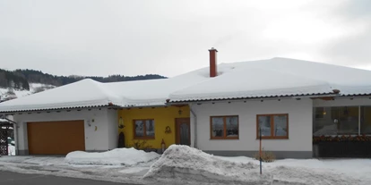 Monteur-Zimmer - Freinberg (Freinberg) - Ferienwohnung Mühltalblick
