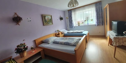 Monteur-Zimmer - Freinberg (Freinberg) - Ferienwohnung Mühltalblick