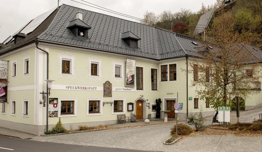 Monteur-Zimmer - Preis pro Nacht - Vichtenstein (Vichtenstein, Sankt Roman) - Gasthof Haudum