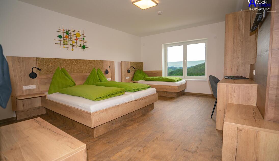 Monteur-Zimmer - Preis pro Nacht - Engerwitzdorf - Gästehaus Weitblick