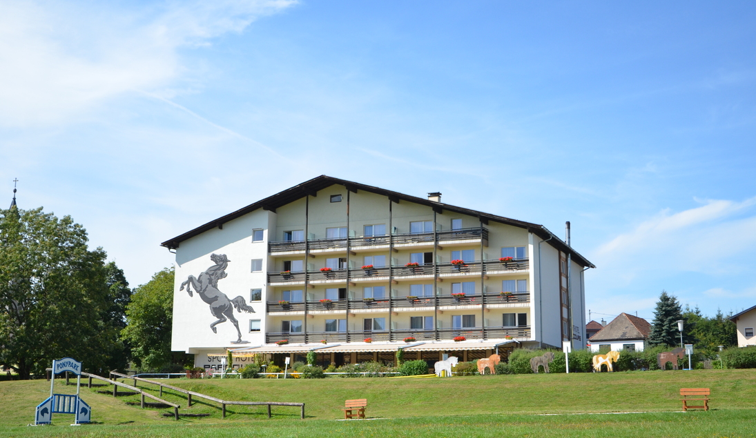Monteur-Zimmer - Schwanenstadt - Reitzentrum Hausruckhof- Hotel
