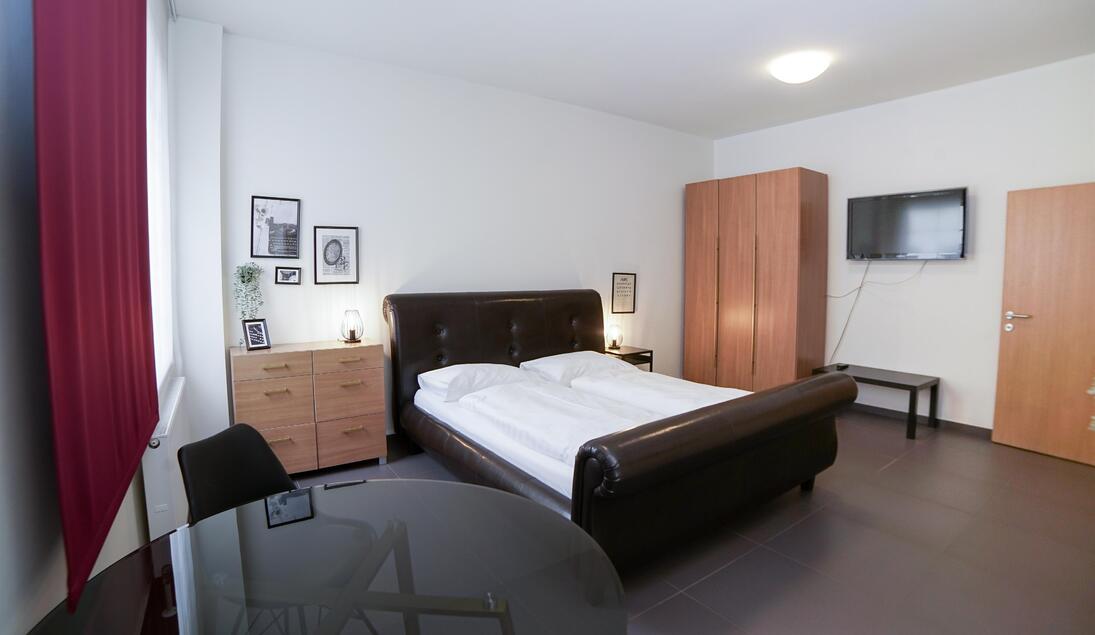 Monteur-Zimmer - Hofkirchen (Saxen) - City Center Apartments