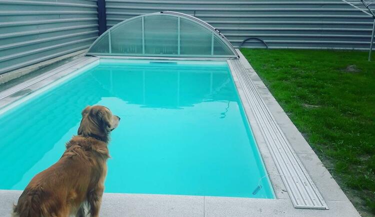 Monteur-Zimmer - Hinzenbach - Gasthof Maly 