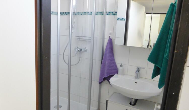 Monteur-Zimmer - Fernseher - Ried im Innkreis - Ferienwohnung Sailer