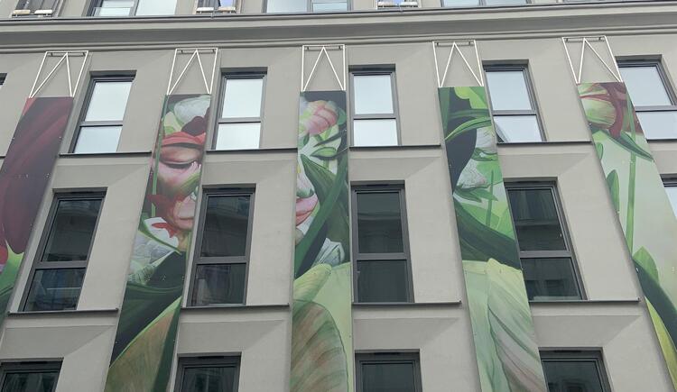 Monteur-Zimmer - Hofkirchen (Saxen) - Art-Inn