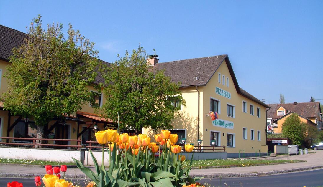 Monteur-Zimmer - Starhemberg - Pension La Mamma
