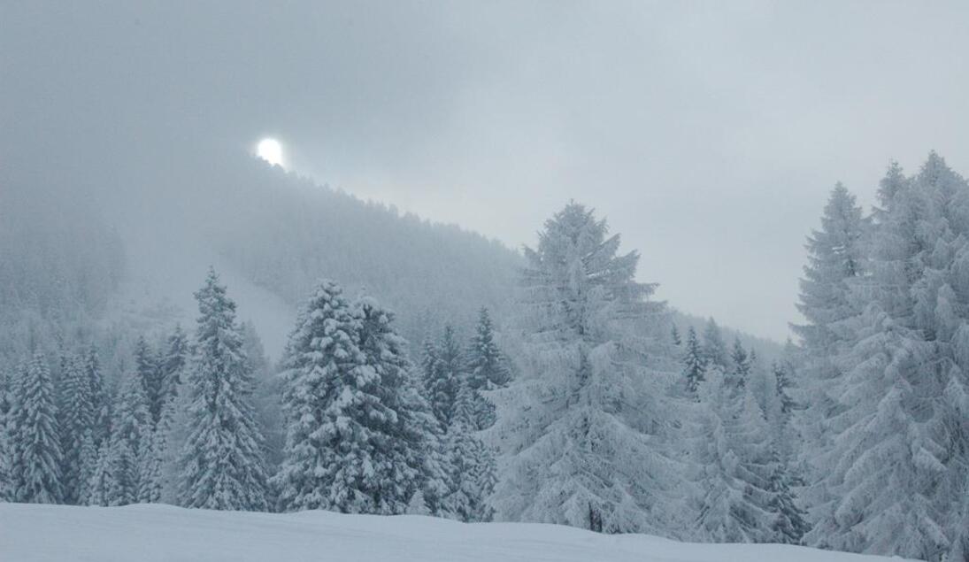 Monteur-Zimmer - Spital am Pyhrn - Pension Edtbauernalm