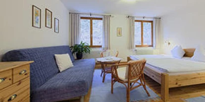 Monteur-Zimmer - Werfen - Pension Hupfmühle