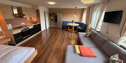Monteur-Zimmer - Freinberg (Freinberg) - Ferienwohnung "Rohrbacher Herz"