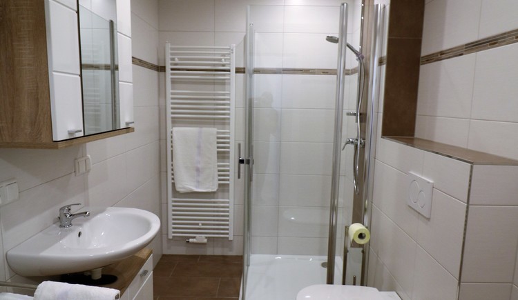 Monteur-Zimmer - Sankt Gilgen - Ferienwohnungen Arikogel