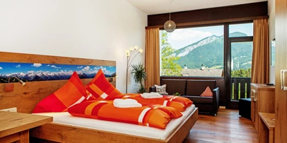 Monteur-Zimmer - Werfen - Appartementhotel Dachsteinblick