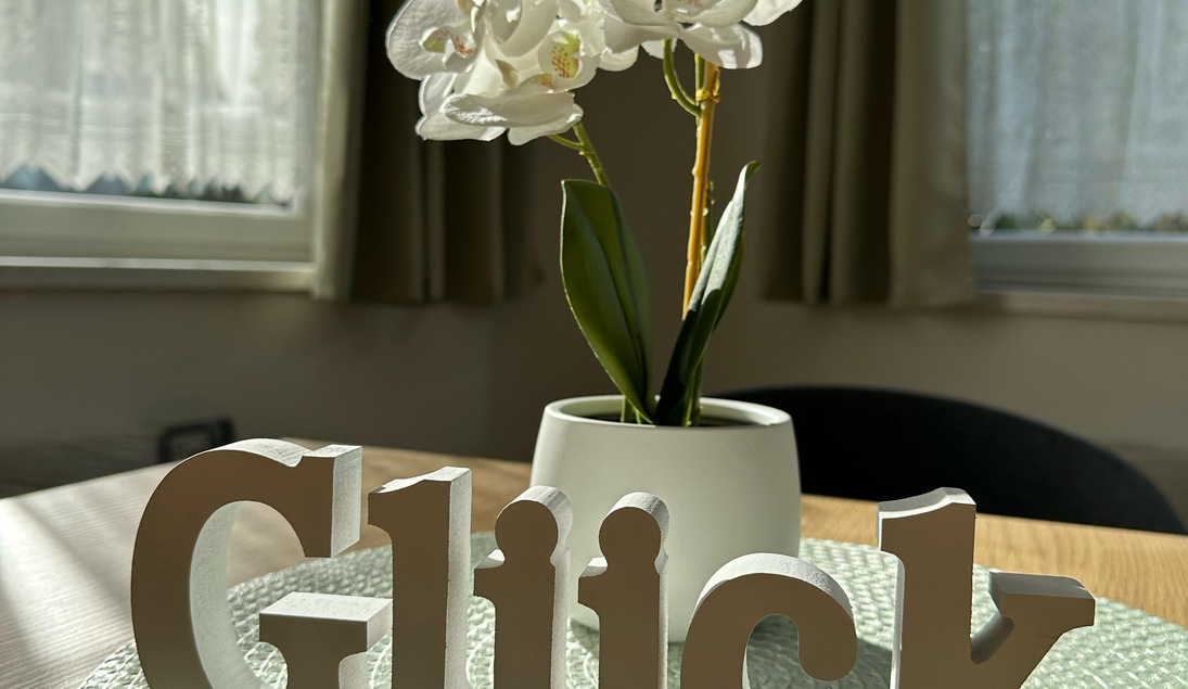 Monteur-Zimmer - Starhemberg - Apartment Attergautraum