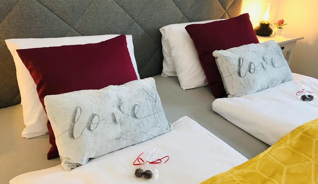 Monteur-Zimmer - Preis pro Nacht - Dietach (Dietach) - Apartment Mona´s Home