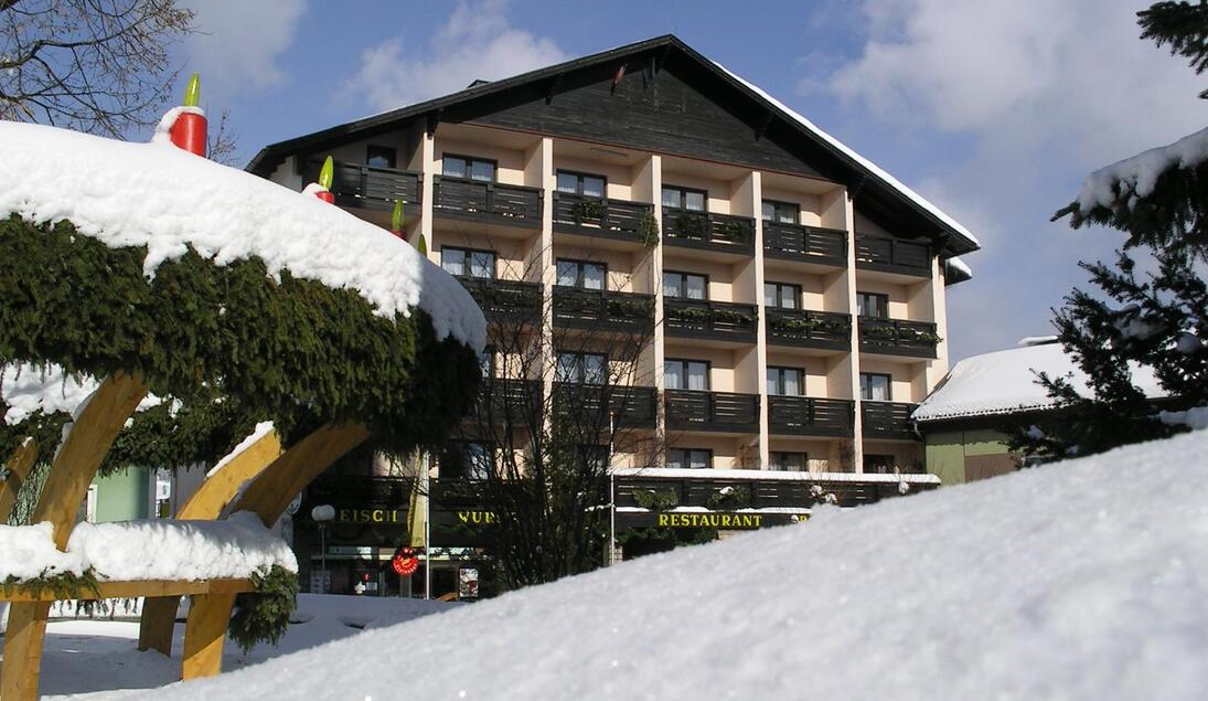 Monteur-Zimmer - Schwarzenberg am Böhmerwald - Böhmerwaldhof