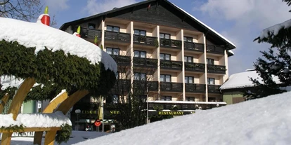 Monteur-Zimmer - Freinberg (Freinberg) - Böhmerwaldhof
